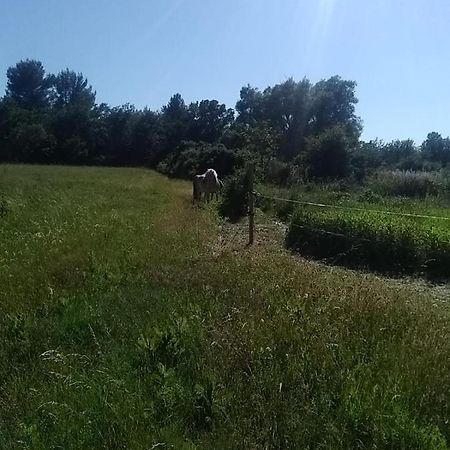 Maison Individuelle 5 Couchages Dans Ferme Equestre Aups Exterior photo